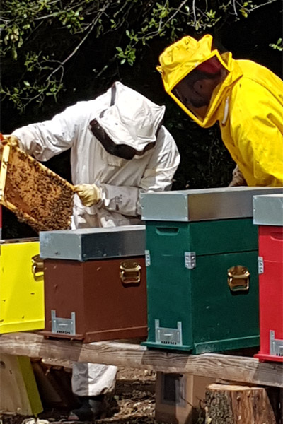 Our honey