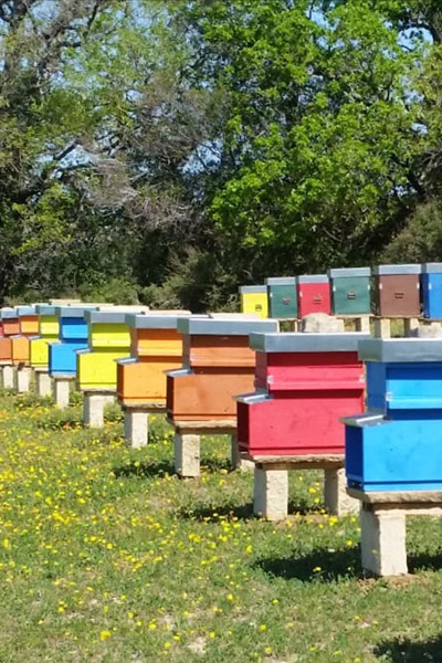 Our honey