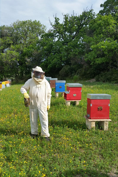 Our honey
