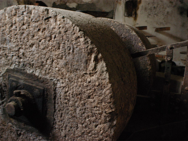 Olivi