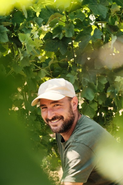 Il Vino